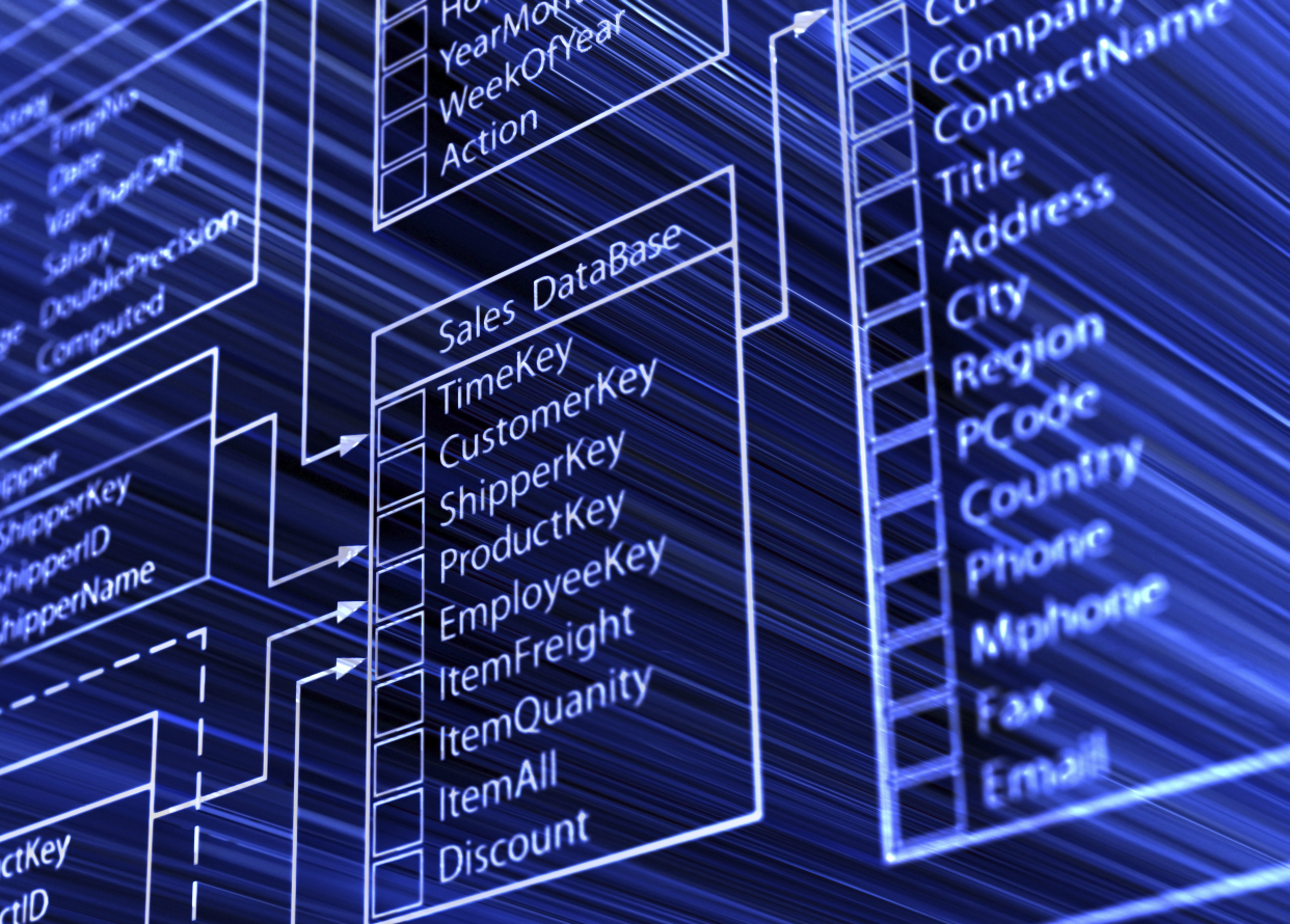 Database Solutions, Top Dog Systems
